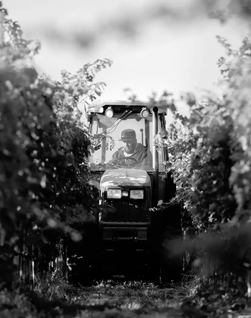 Bill TerlatoTerlato Wines CEO and Klipsun Proprietor